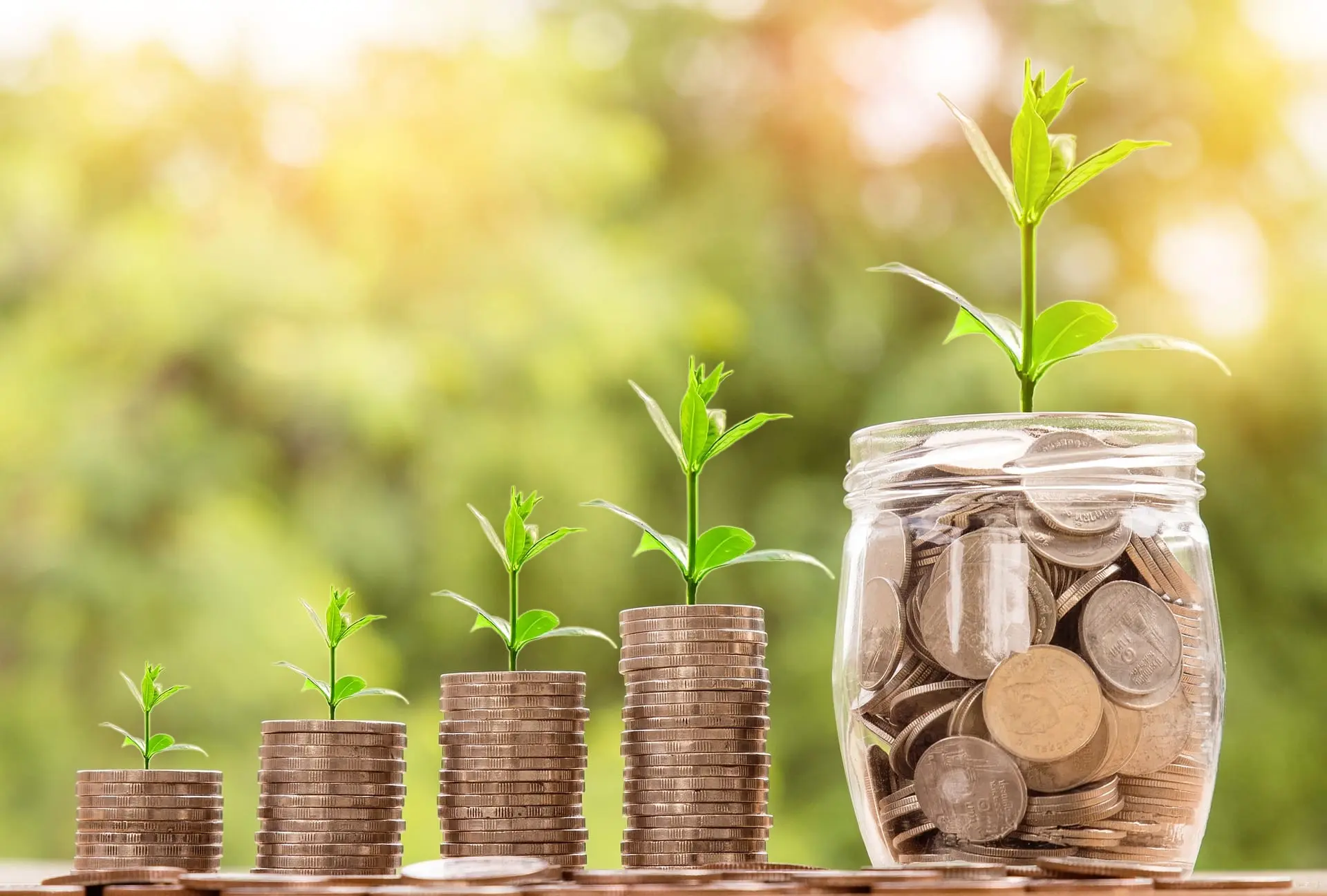 Planificare pentru un istoric de credit sănătos